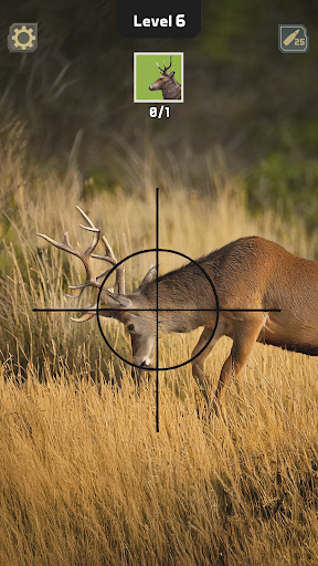 Heyvan Ovçusu: Vəhşi Atışma
